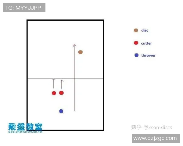 广州飞盘队区域防守分析：优劣势与改进建议探讨