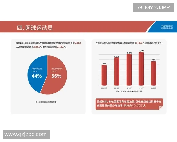 成都网球队技术对比深度解析与发展趋势探讨