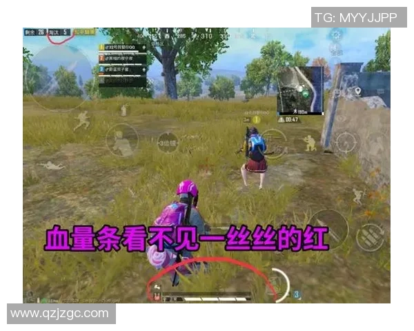 深入探讨和平精英背后的成功秘诀与黄伟的独特见解