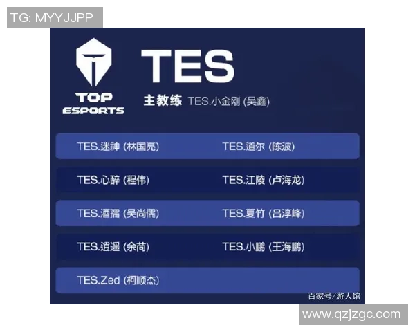 王者荣耀深度解析：TES战术布局与团队协作的秘密揭秘